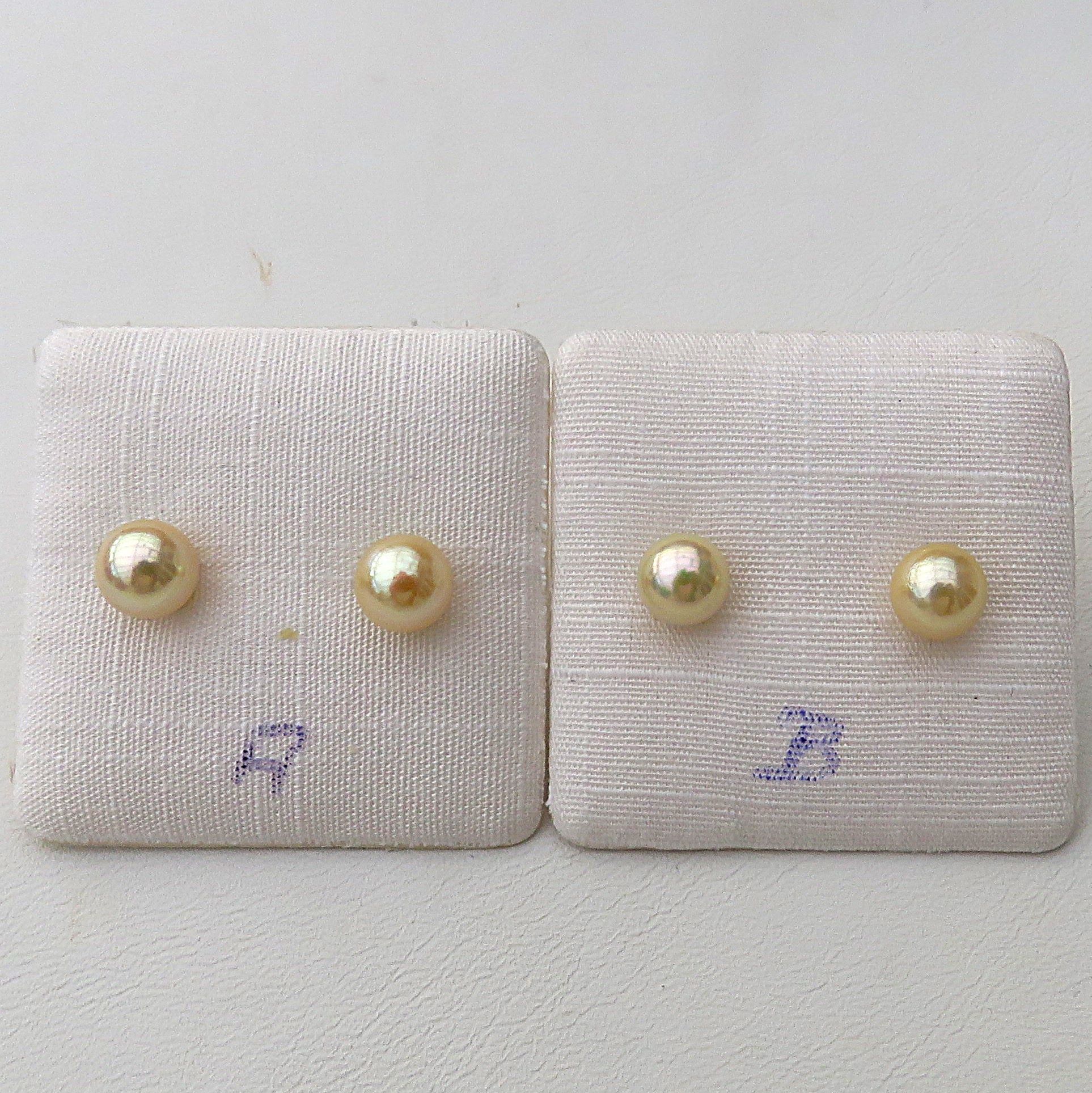 IMG_6439-5468 Japanische Akoyaperlen Ohrstecker Sterlingsilber rhod. 6-6,5 mm naturgelb  5468