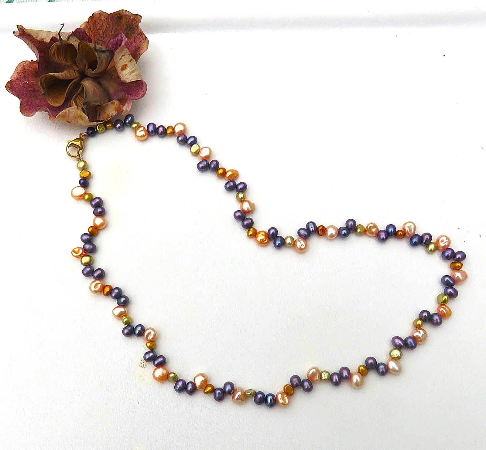 IMG_5593TdKAeVSUkHbcl