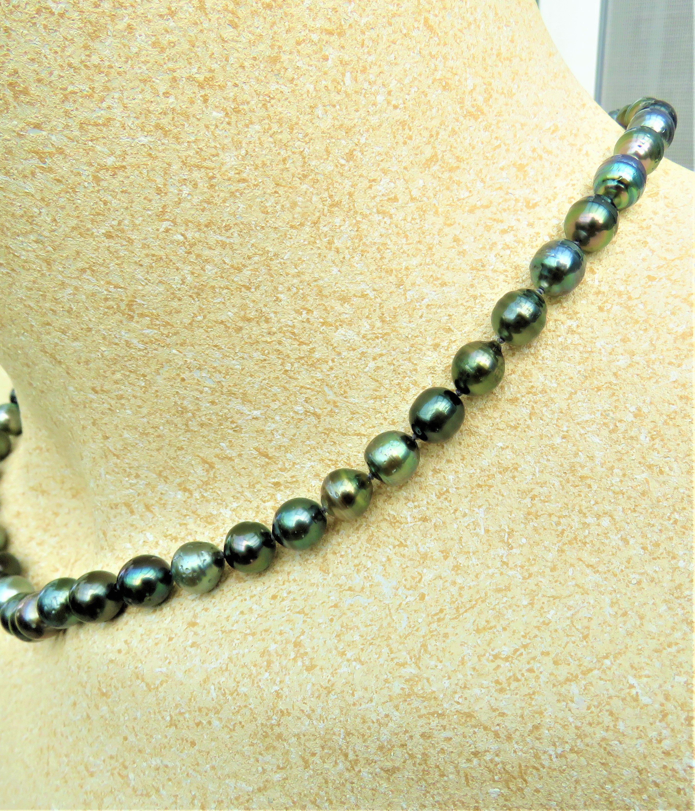 IMG_4088-2zNg29vENQe2SA