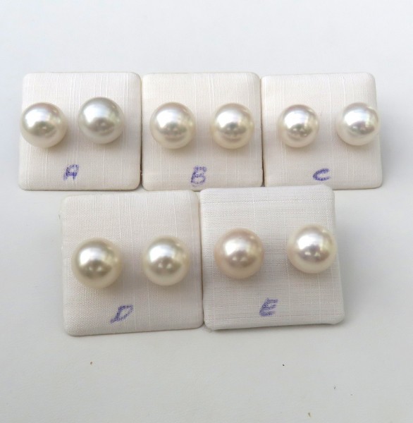 Süßwasser Perlen Ohrstecker Ming Perlen AAAA rund 12 mm Sterlingsilber rhod. 4629