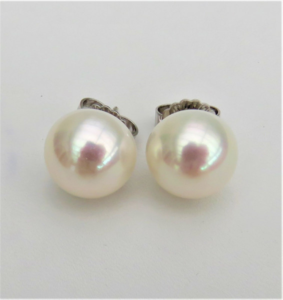 Süßwasser Perlen Ohrstecker Perlen AAAA Boutons 13,6 mm nur dieses Paar 5257